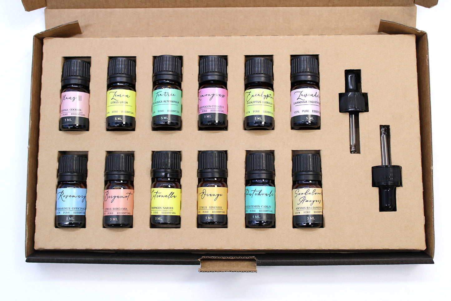 Aromatherapy Essential Oil Set - The Top 12 | 100% Pure & Handmade | Vegan & Cruelty-Free | Gift for Home & Mind